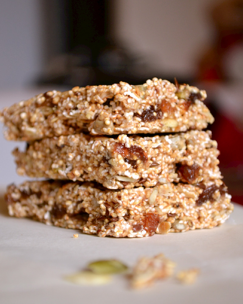 amaranth-oat-granola-bars-dsc_0610